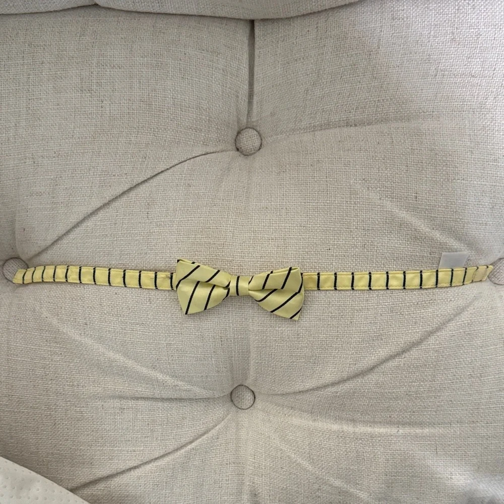 Janie and Jack Yellow Striped Kids Bow Tie